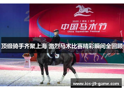 顶级骑手齐聚上海 激烈马术比赛精彩瞬间全回顾