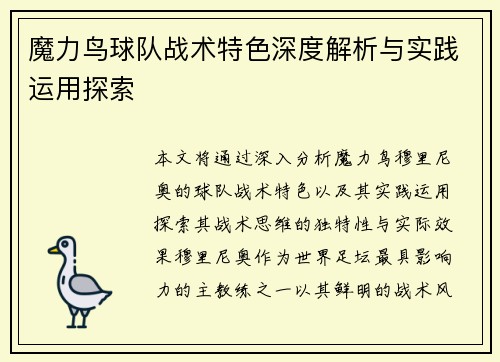 魔力鸟球队战术特色深度解析与实践运用探索